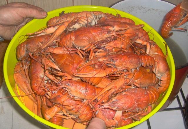 Delta forever - picture-061-1.jpg